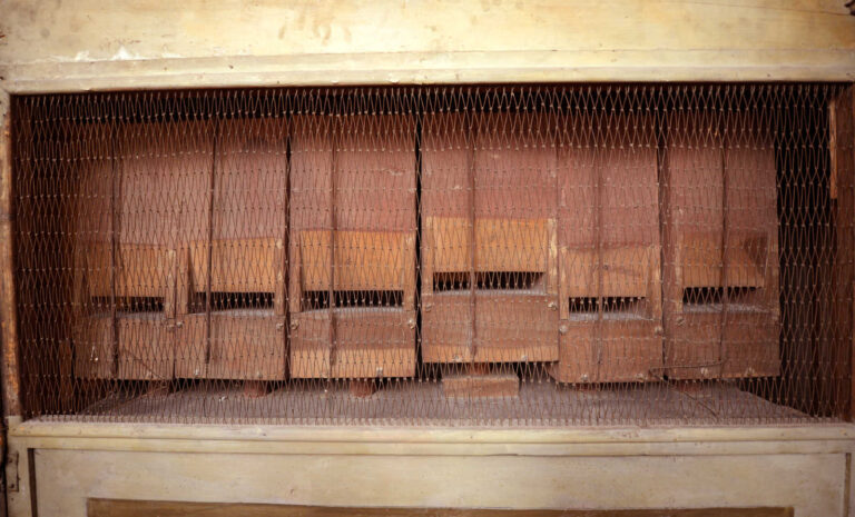 19 duomo vecchio risultato